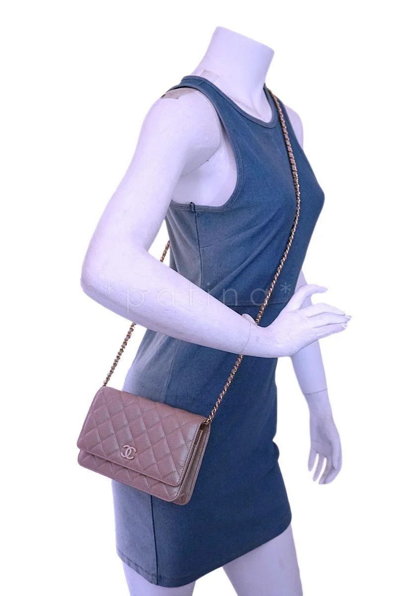 19S Chanel Iridescent Taupe Beige Rose Gold Pearly CC Wallet on Chain WOC Flap Bag - Image 15