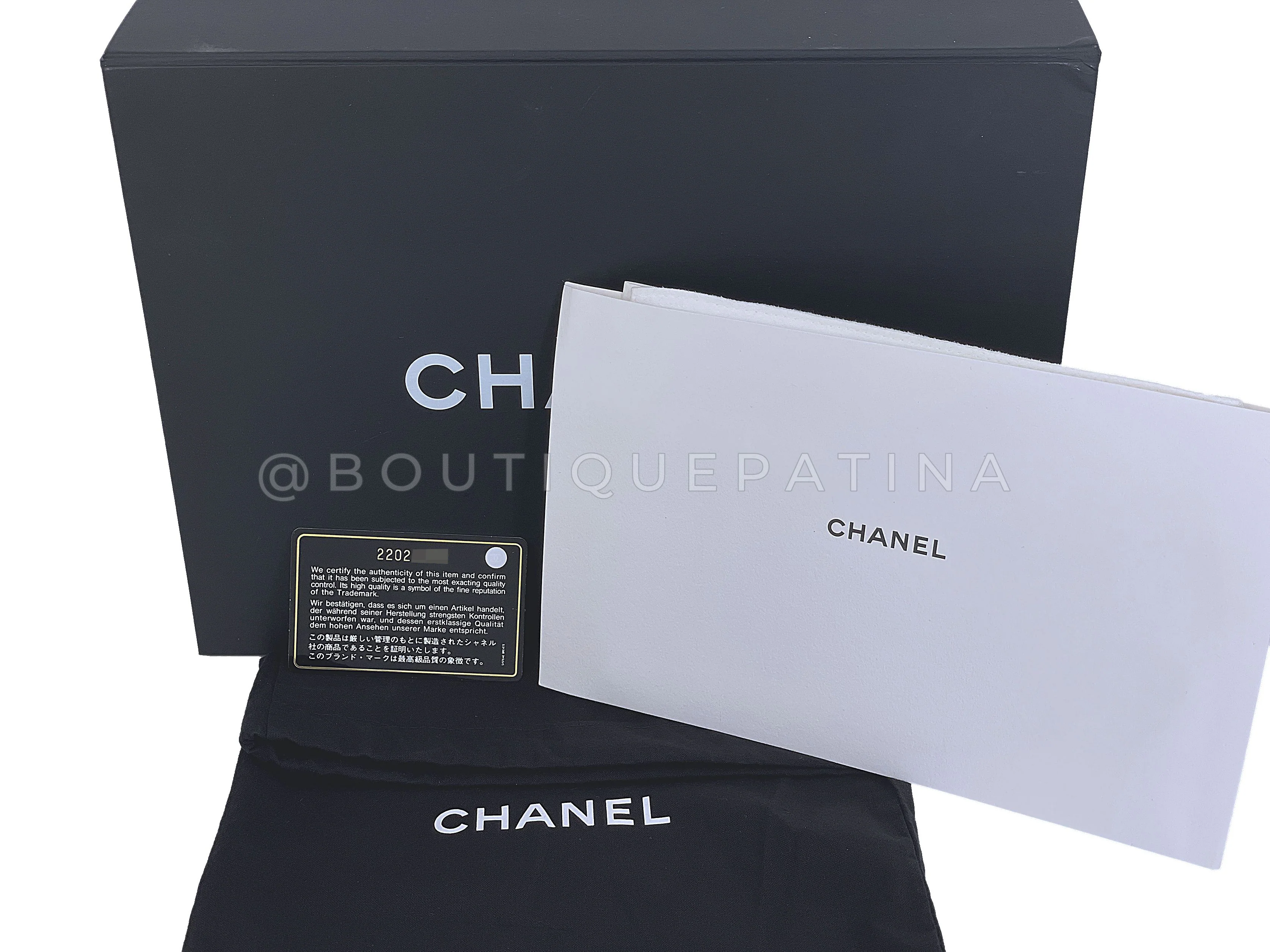 Chanel 2016 Paris Seoul Ivory White Tortoise Plexiglass Minaudière Evening Clutch Bag - Image 13