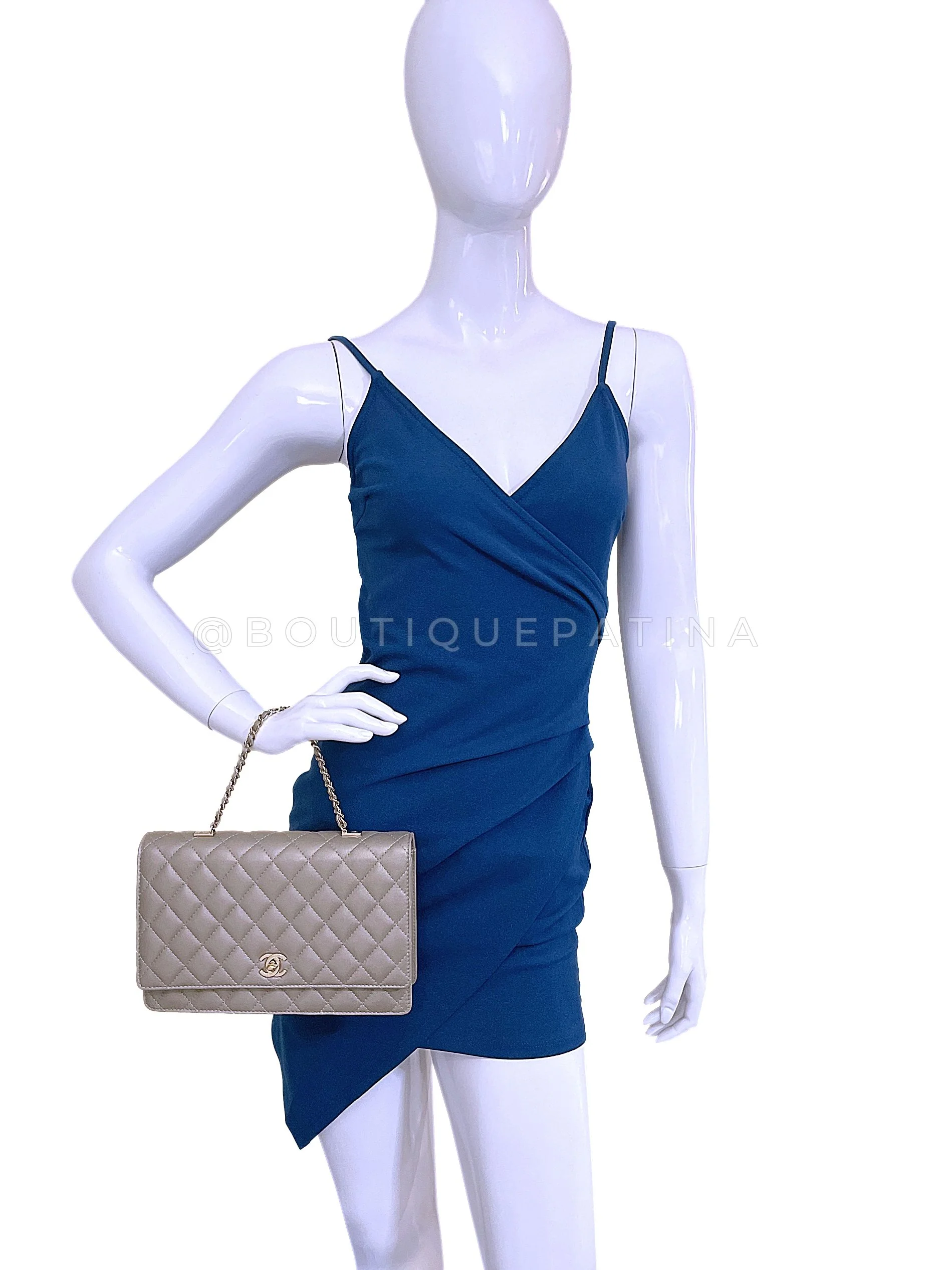 Chanel Metallic Taupe Fantasy Pearl Clutch on Chain Crossbody Flap Bag - Image 16