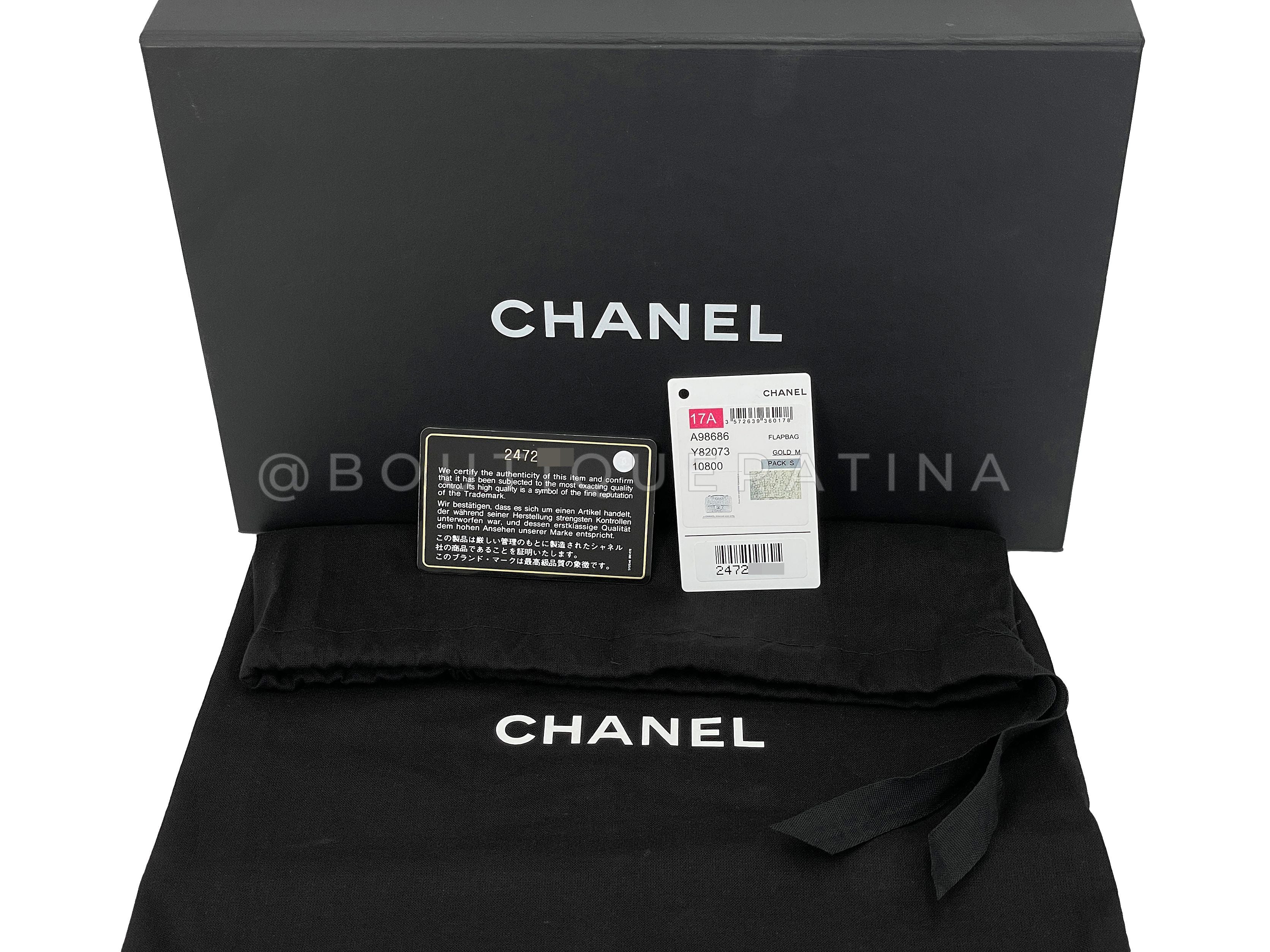 Chanel 17A Pearl Mini Flap Bag Paris-Cosmopolite Metiers D'Art FWW - Image 14