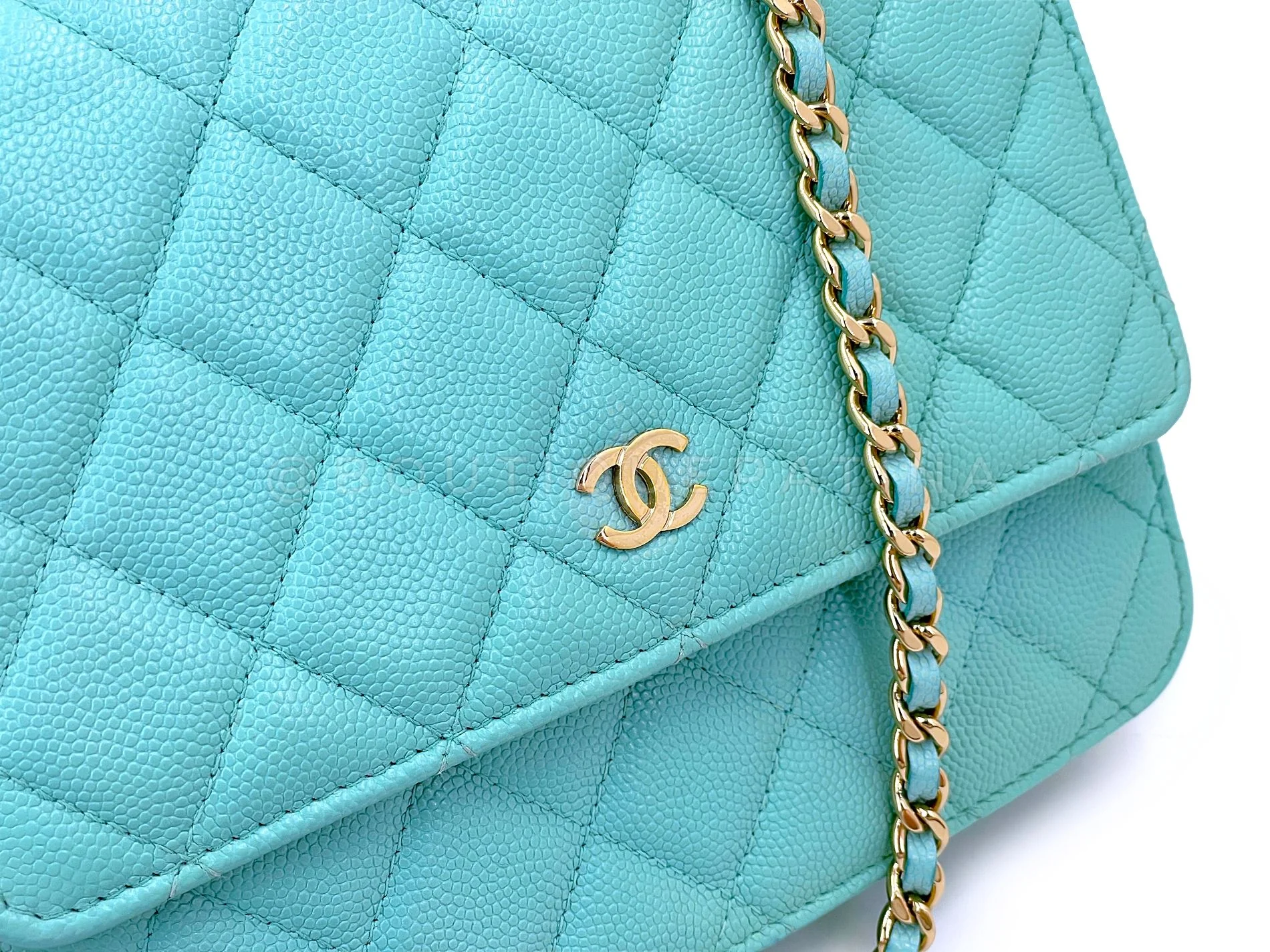Chanel 19C Tiffany Blue Light Green Tall Wallet on Chain WOC Flap Bag GHW YWI - Image 8