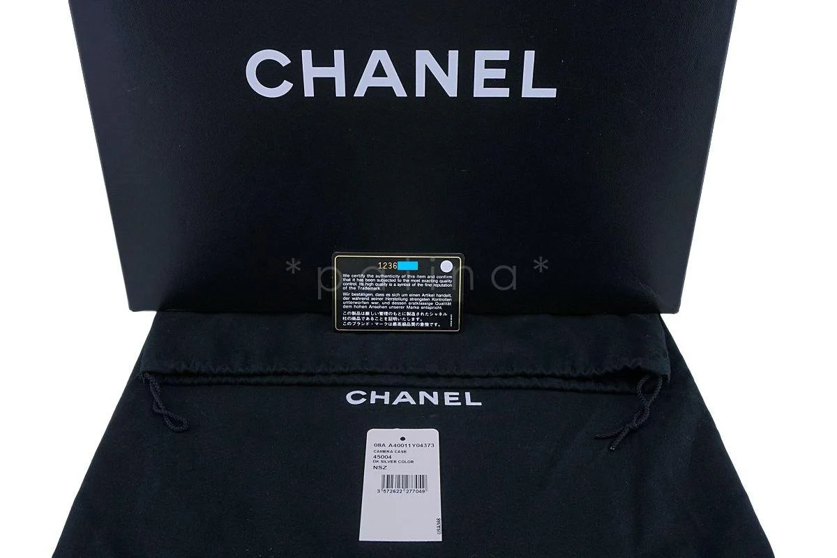 Chanel Dark Gray Silver Metallic Reissue Classic Camera Case Bag RHW - Image 12