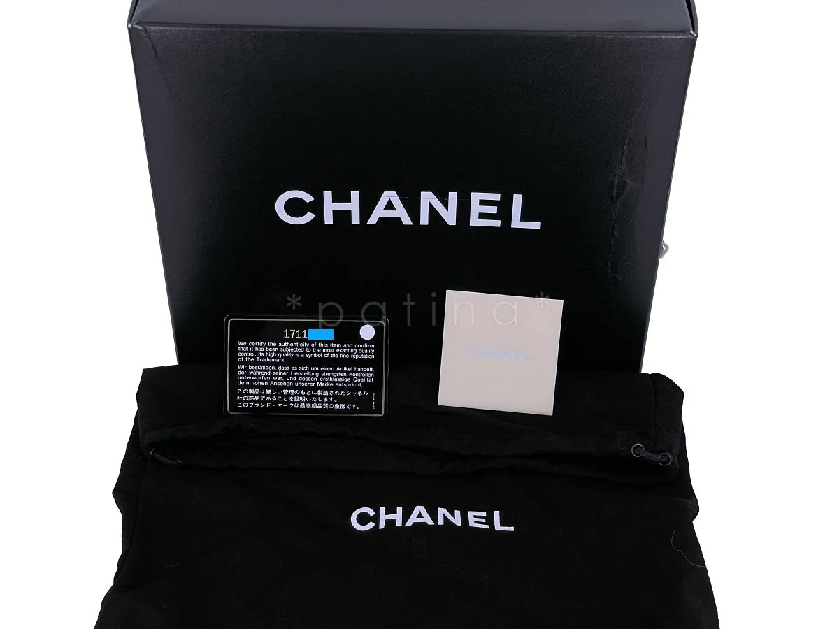 Chanel Limited Stingray Crystals Degrade Framed Evening Clutch Bag Silver - Image 12