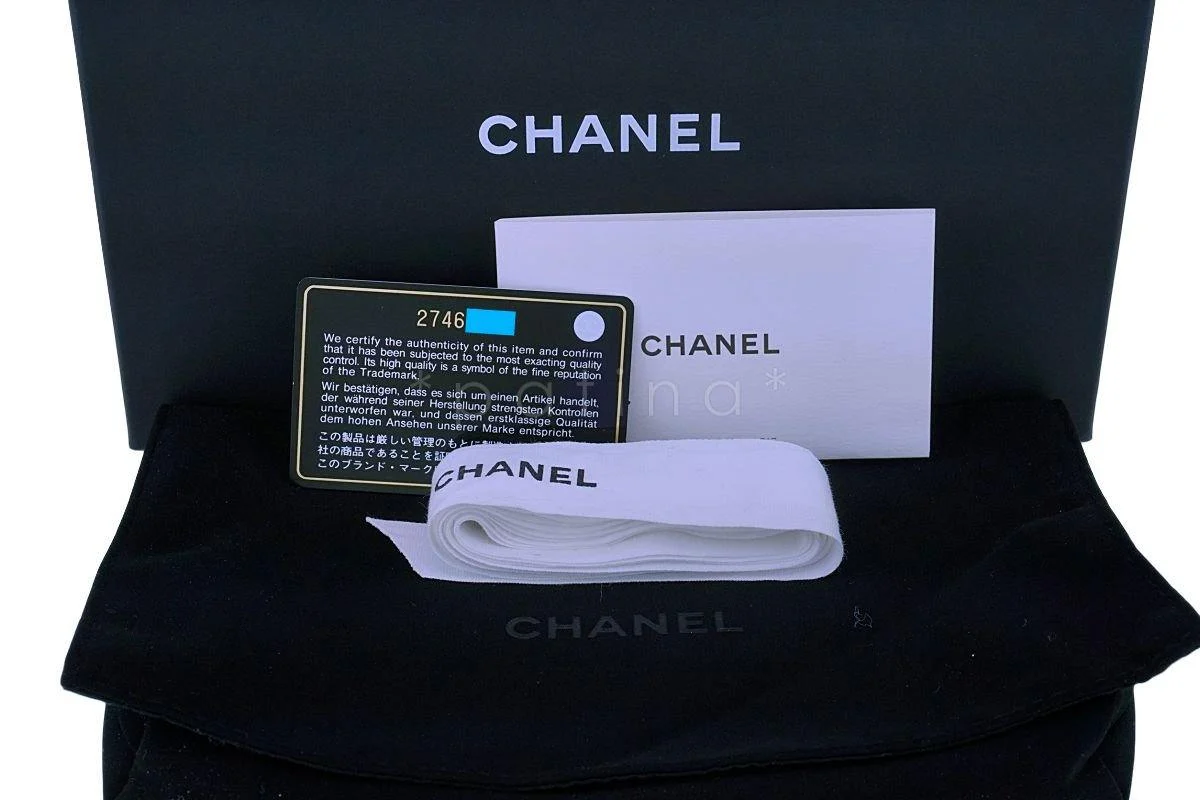 NIB 19S Chanel Iridescent Blue Caviar Classic Wallet on Chain WOC GHW - Image 12