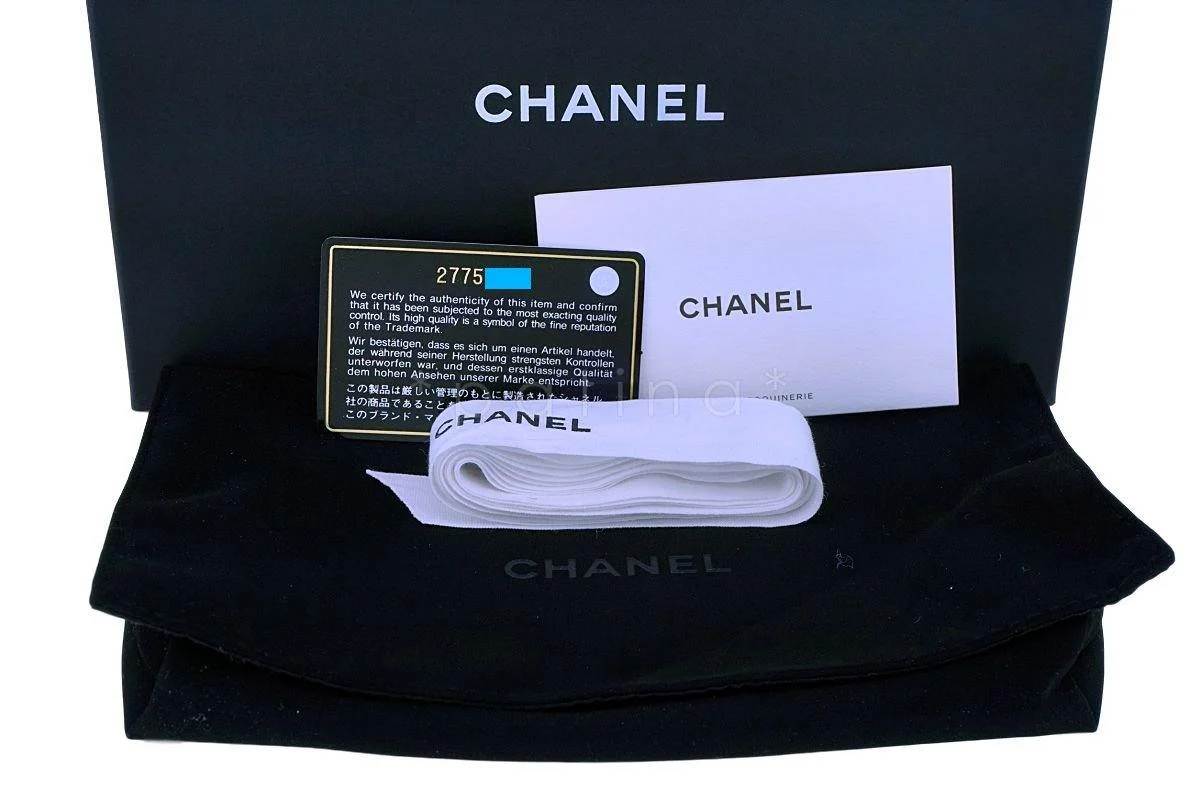 NIB 19S Chanel Iridescent Blue Pearly CC Wallet on Chain WOC Flap Bag - Image 13