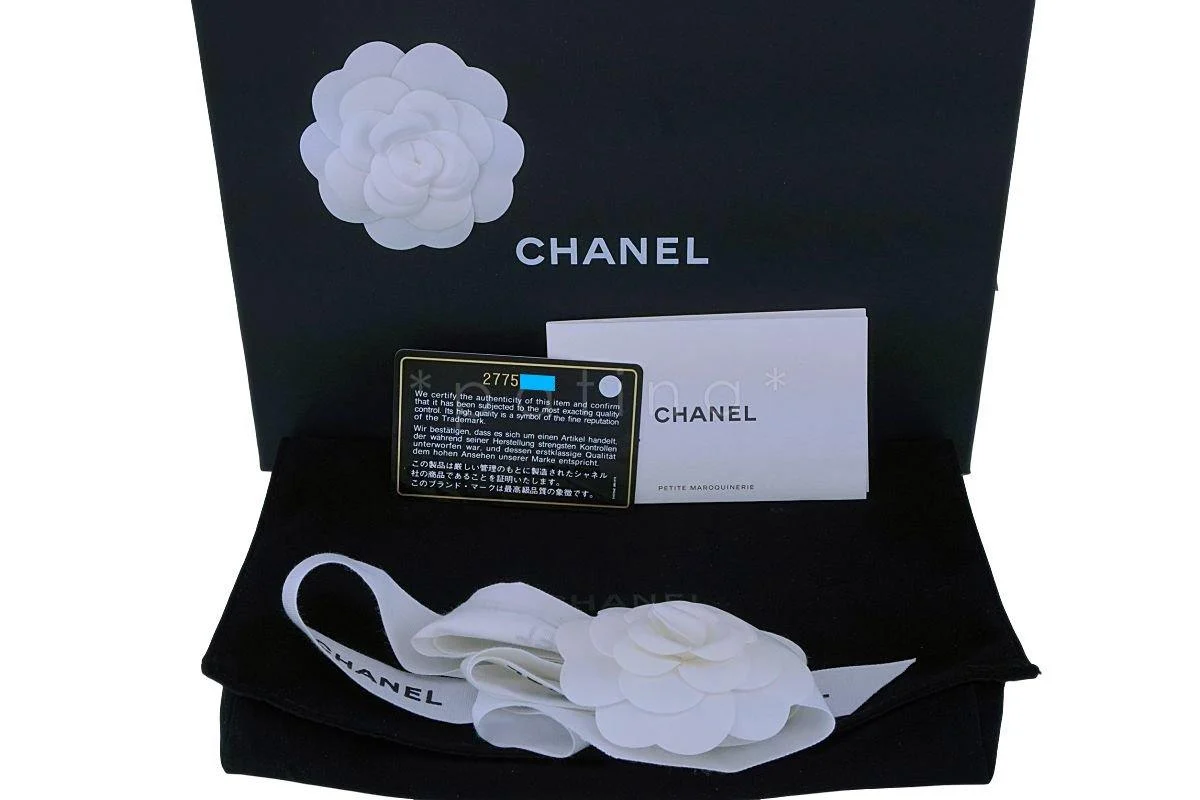 NIB 19S Chanel Iridescent Taupe Beige Rose Gold Pearly CC Wallet on Chain WOC Flap Bag - Image 12