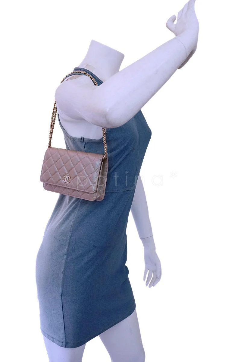 NIB 19S Chanel Iridescent Taupe Beige Rose Gold Pearly CC Wallet on Chain WOC Flap Bag - Image 13