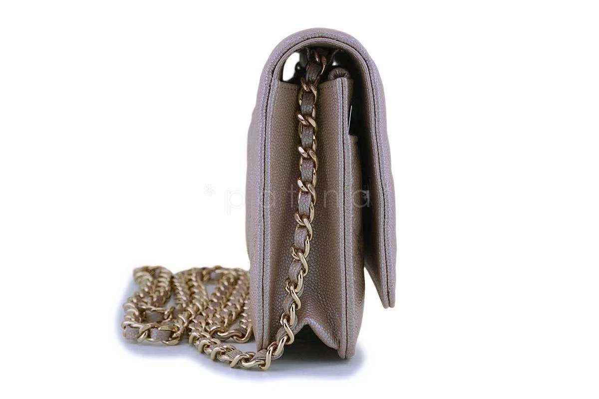 NIB 19S Chanel Iridescent Taupe Beige Rose Gold Pearly CC Wallet on Chain WOC Flap Bag - Image 4