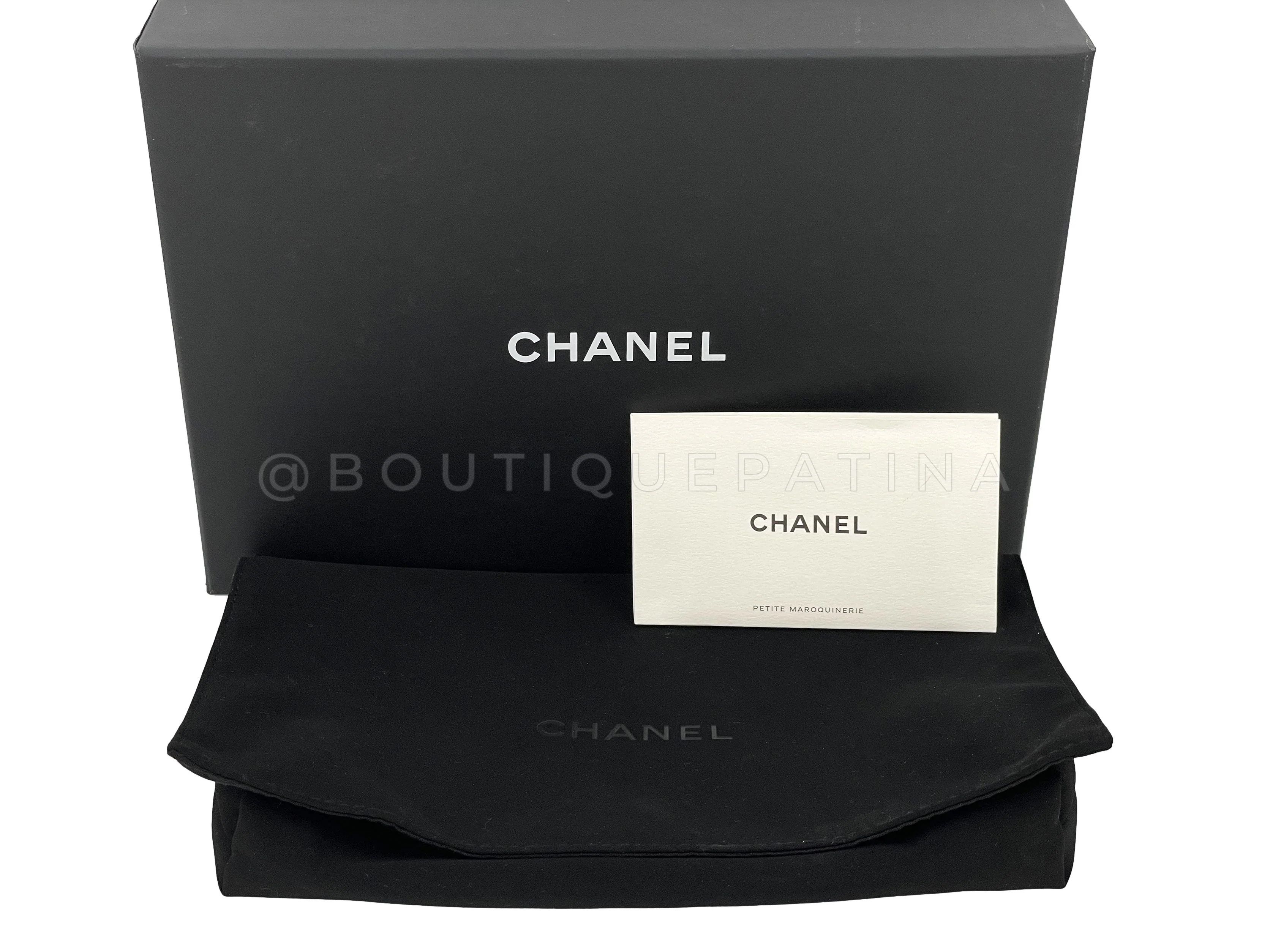 NIB 21K Chanel Iridescent Pink Purple Ombre Wallet on Chain WOC Flap Bag - Image 13